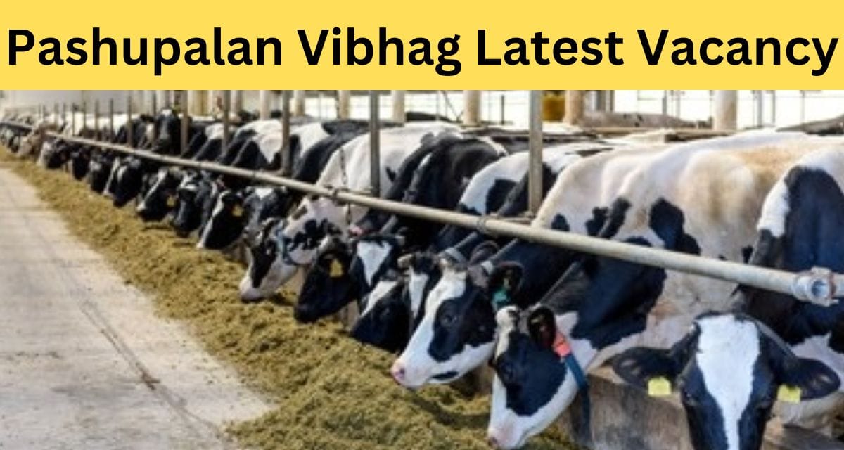pashupalan vibhag vacancy